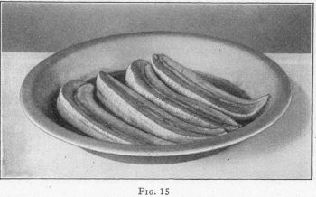 [Illustration: FIG. 15]