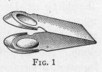 [Illustration: FIG. 1]