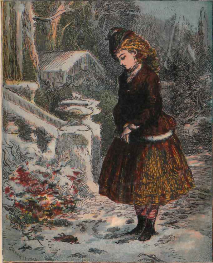 The Dead Robin.
