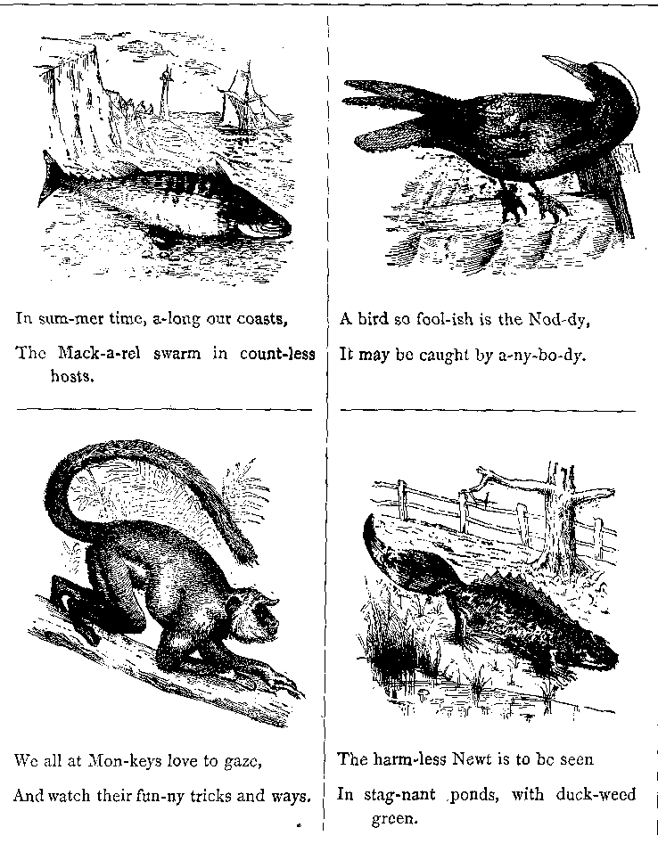 In Sum-mer Time, A-long Our Coasts.
The Mack-a-rel Swarm in Count-less Hosts.
