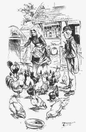 "Yon's gradely
chickens," he remarked