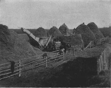 Threshing Grain