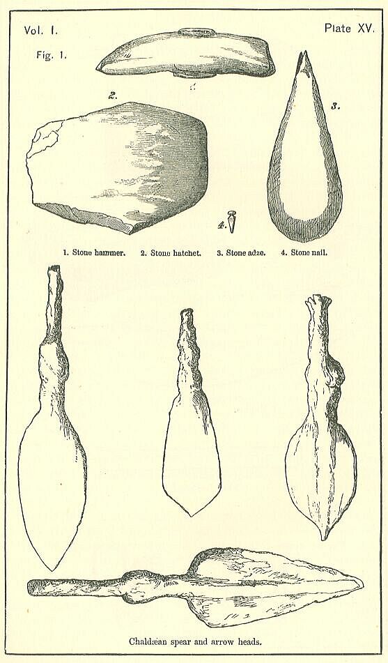 Plate 15 