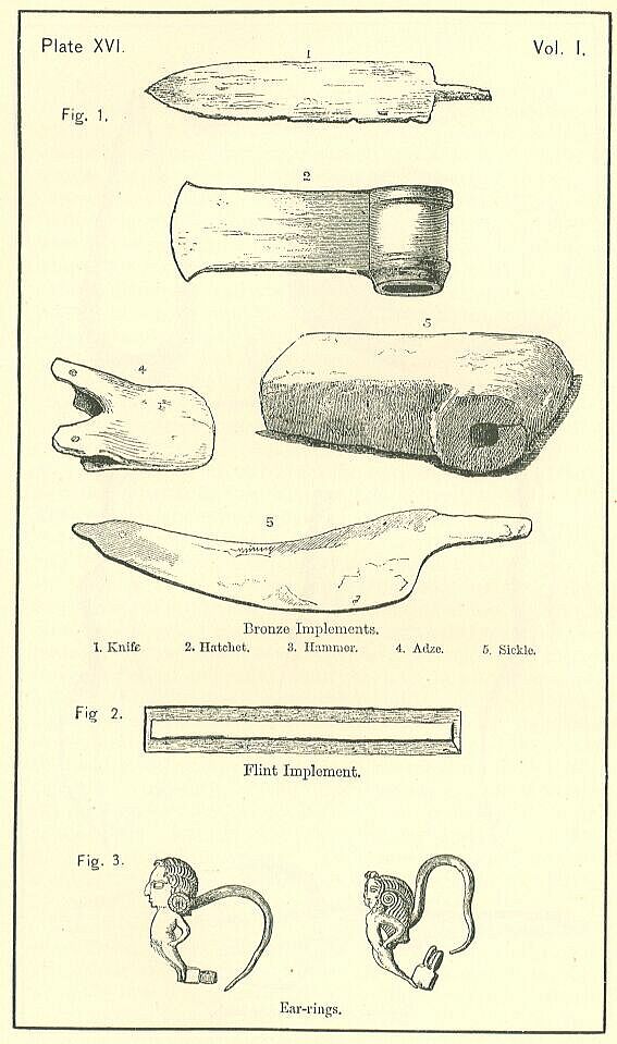 Plate 16 