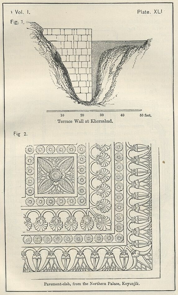 Plate 41 