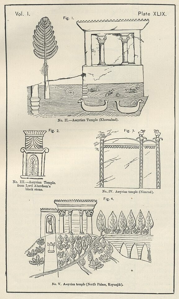 Plate 49 