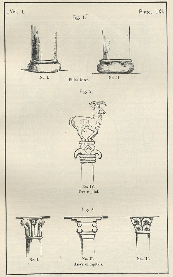 Plate 61 