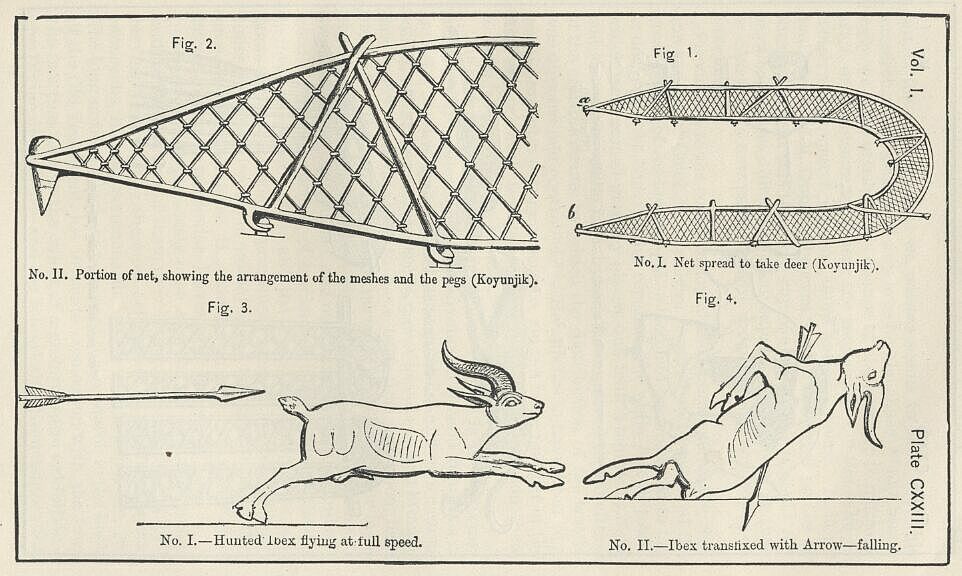 Plate 123 