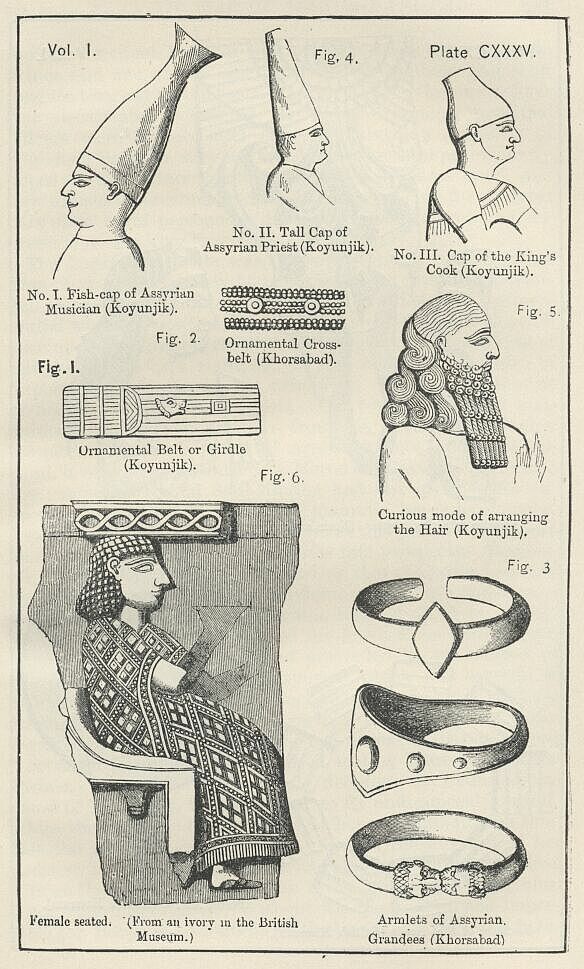 Plate 135 