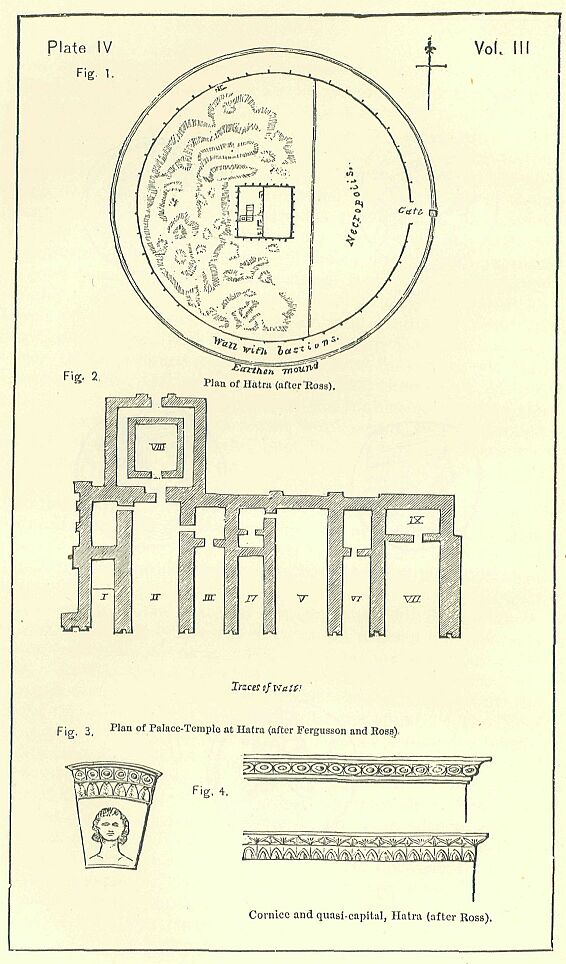 Plate 4. 