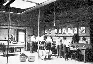 Class in propagation at work at Minnesota State
Agricultural College.