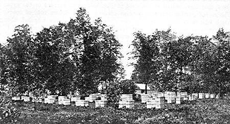 Side view of Mr. Cowles' home grounds.