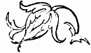 Decoration