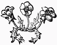 decoration