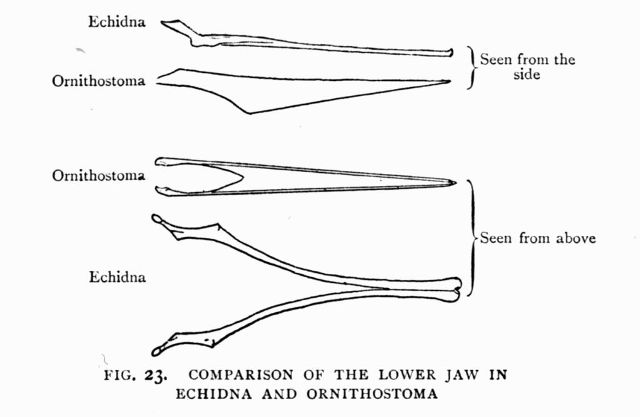 FIG. 23.