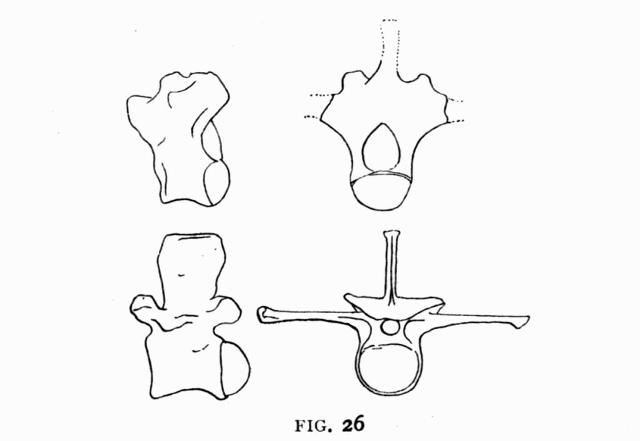 FIG. 26