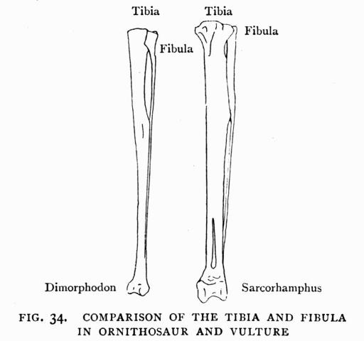 FIG. 34.