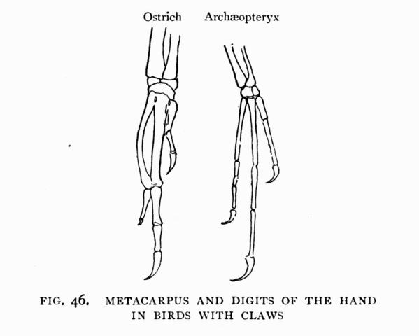 FIG. 46.