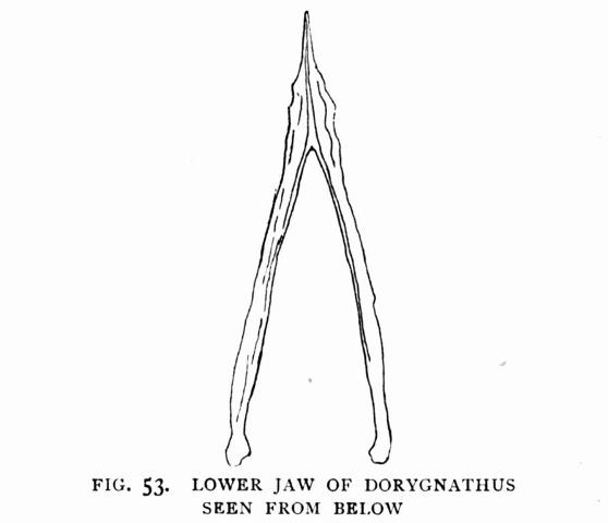 FIG. 53.