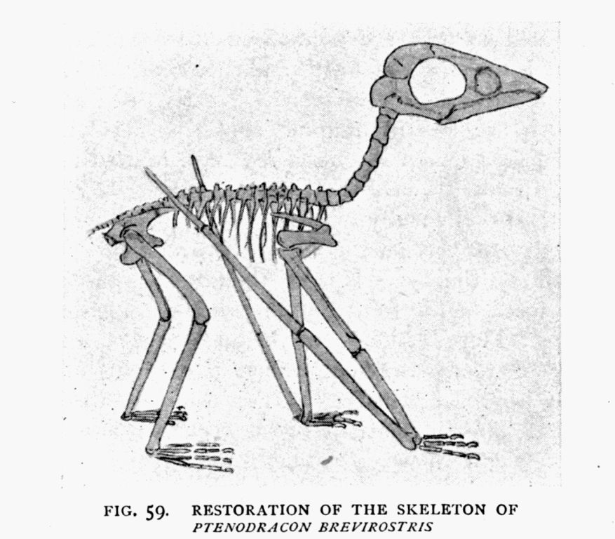 FIG. 59.