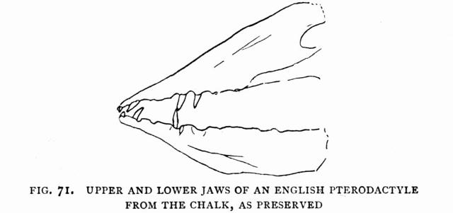 FIG. 71.