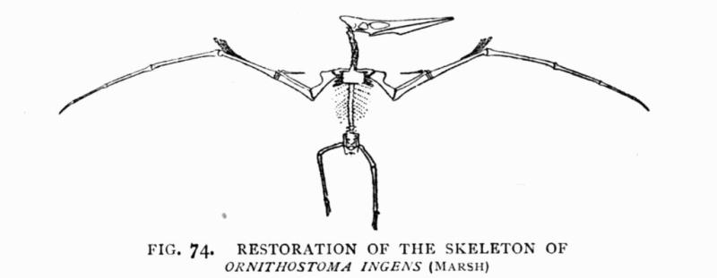 FIG. 74.