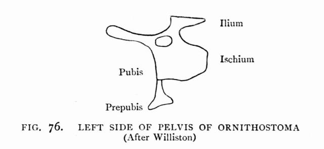 FIG. 76.