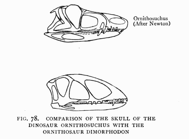 FIG. 78.