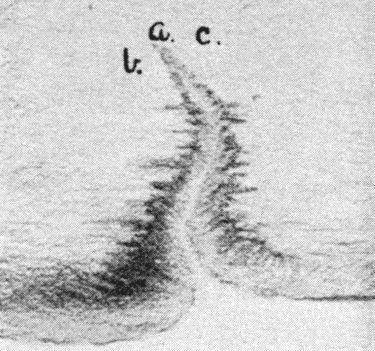 FIG. 1. A very young valley.