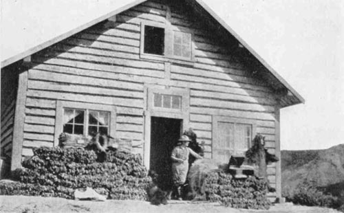 Picture of a house with lots of fur stapled in front of