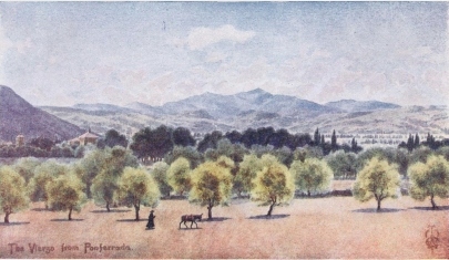 THE VIERZO

From Ponferrada, looking towards the Pass of Piedrafita.