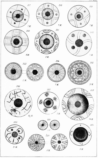 SPECIMENS OF WHORLS, &c. DUG UP AT TROY