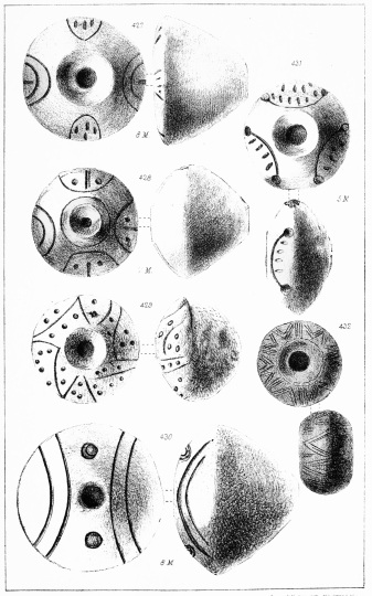 SPECIMENS OF WHORLS, &c. DUG UP AT TROY