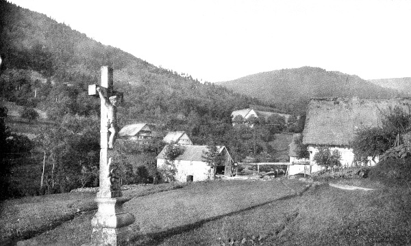 A Corner in the Black Forest.