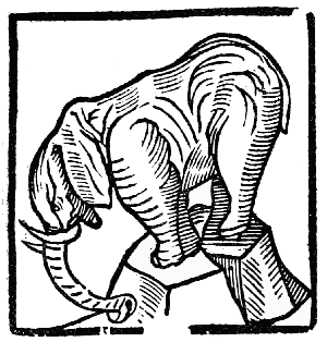 Text-fig. 20. “Yvery” = Ivory [The Grete Herball,
1529].