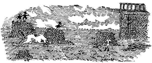 El Hombre  la Vaca.