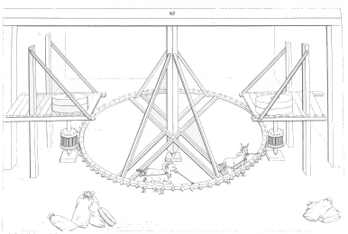 Image not available: Pl. 5.

ASINUS OR JUMENTARIÆ MILL.