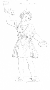 Image not available: Pl. 28.

PROCILLATORES.