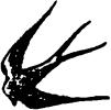 Ilustración de adorno