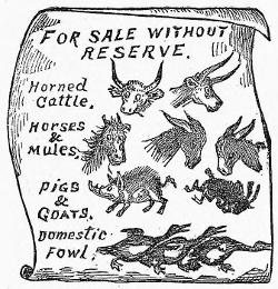 A signboard: FOR SALE WITHOUT RESERVE. Horned
Cattle, Horses & Mules, PIGS & GOATS, Domestic Fowl.