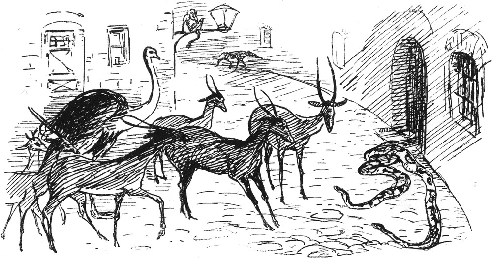 Wilde Tiere mitten in der
  Stadt
